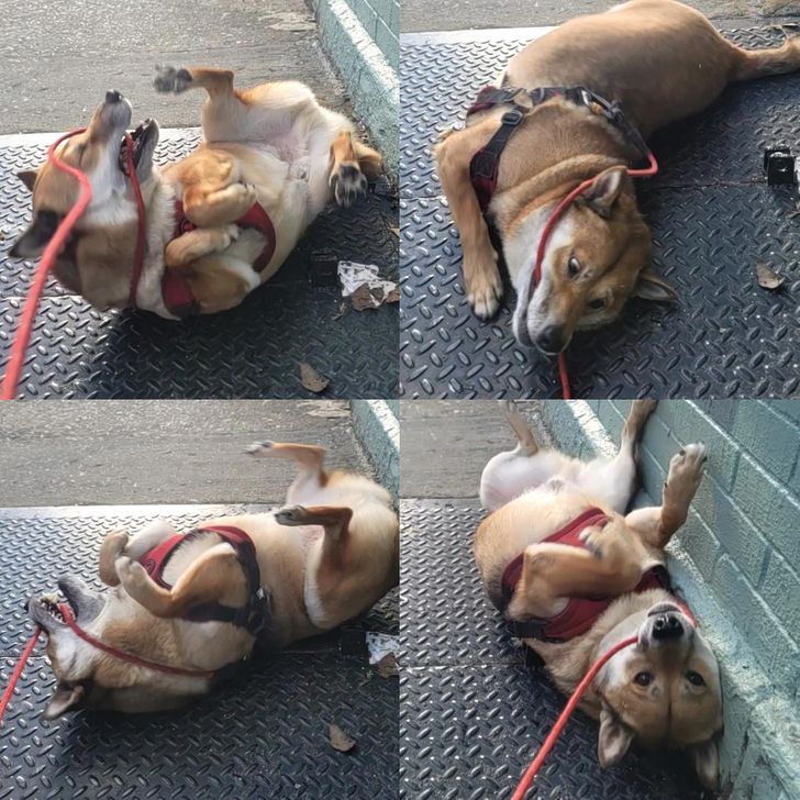 305af558d4bf4e7eb472b8be29 305af558d4bf4e7eb472b8be29