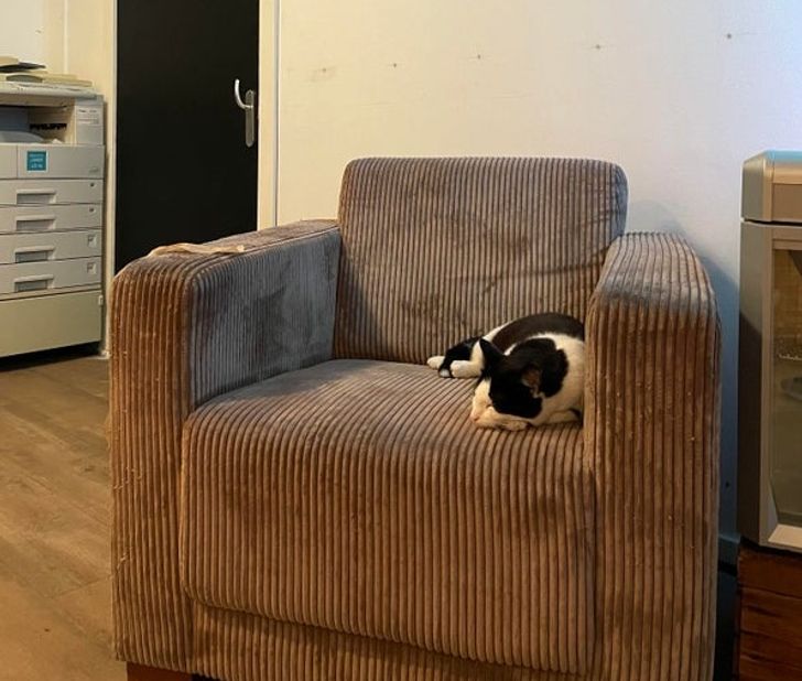 305ff9563e97048300a6557f41 305ff9563e97048300a6557f41