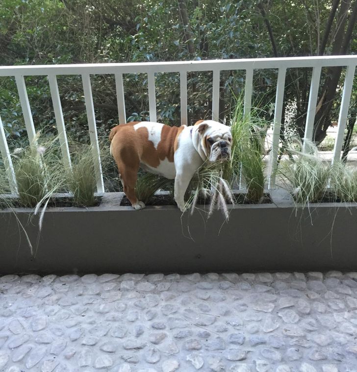 30628b55d6a6401b2f18e1d50c