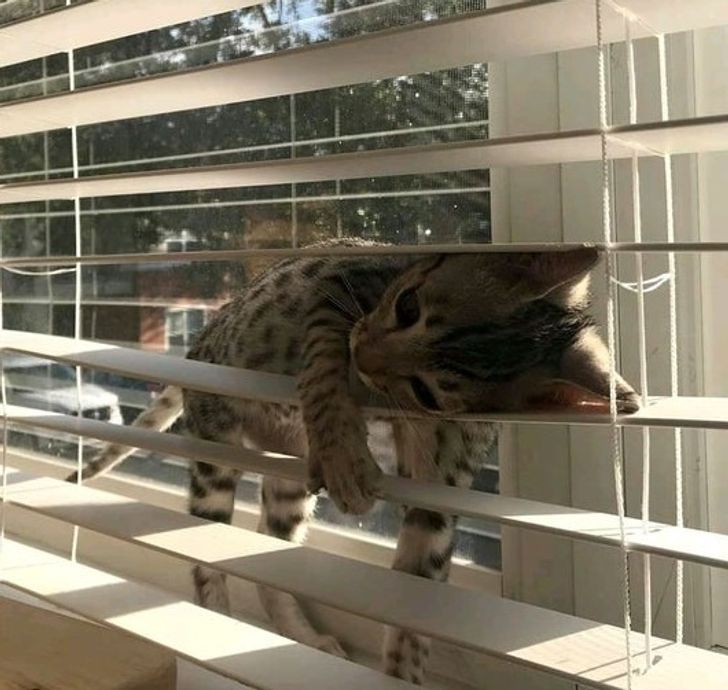 306a1b501985da9d39c4354fff