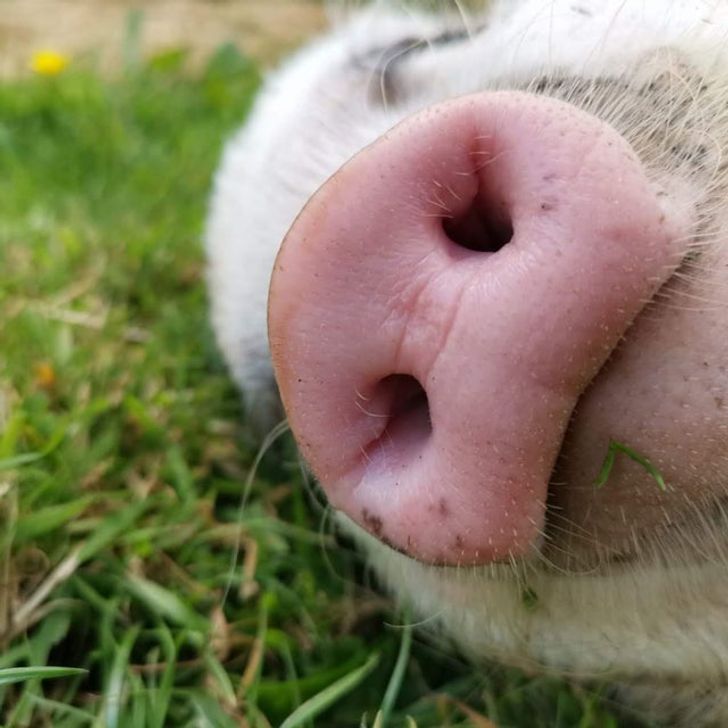 30702a59fb88fc94cee99bf5df