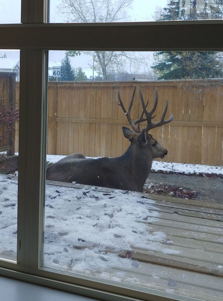 3076115dceaeef2882e8e3c0d2