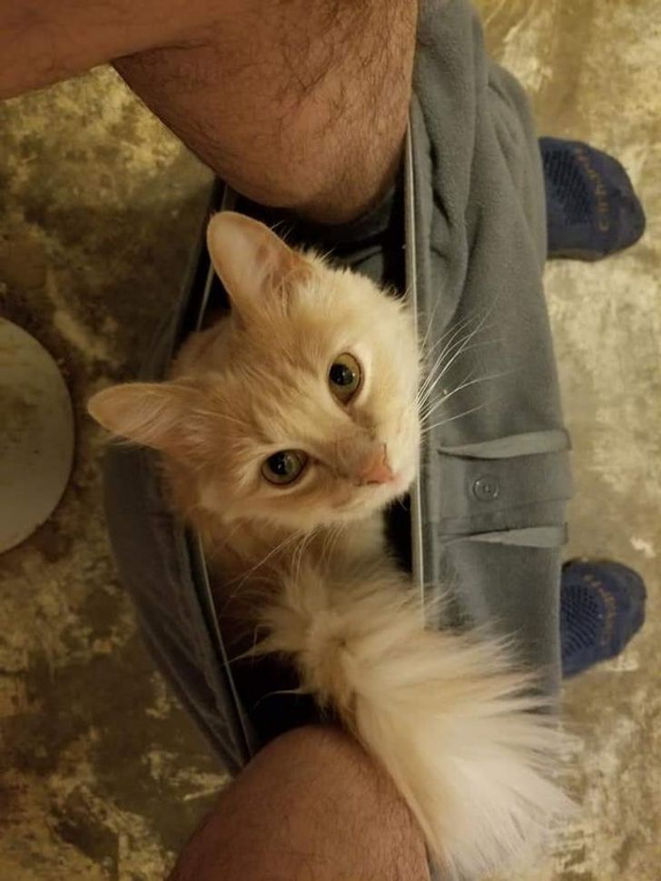 307c2a5538986a449364c8b89c