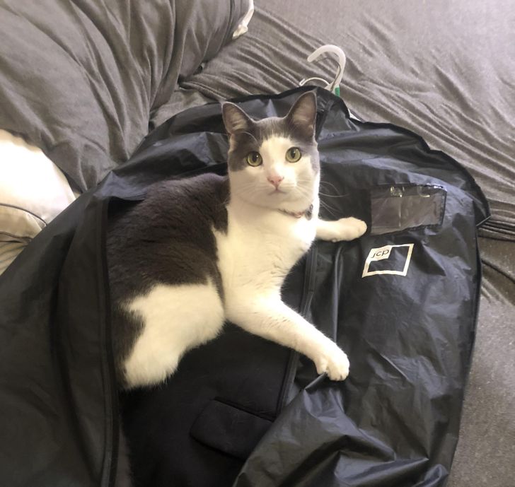 307f4651e19e35ad5f24e53711