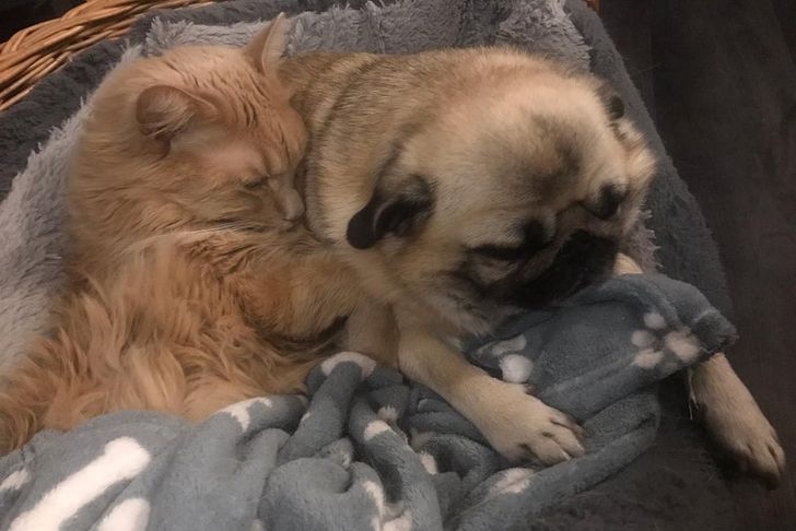 307fe358c986126a4663bcd8b3