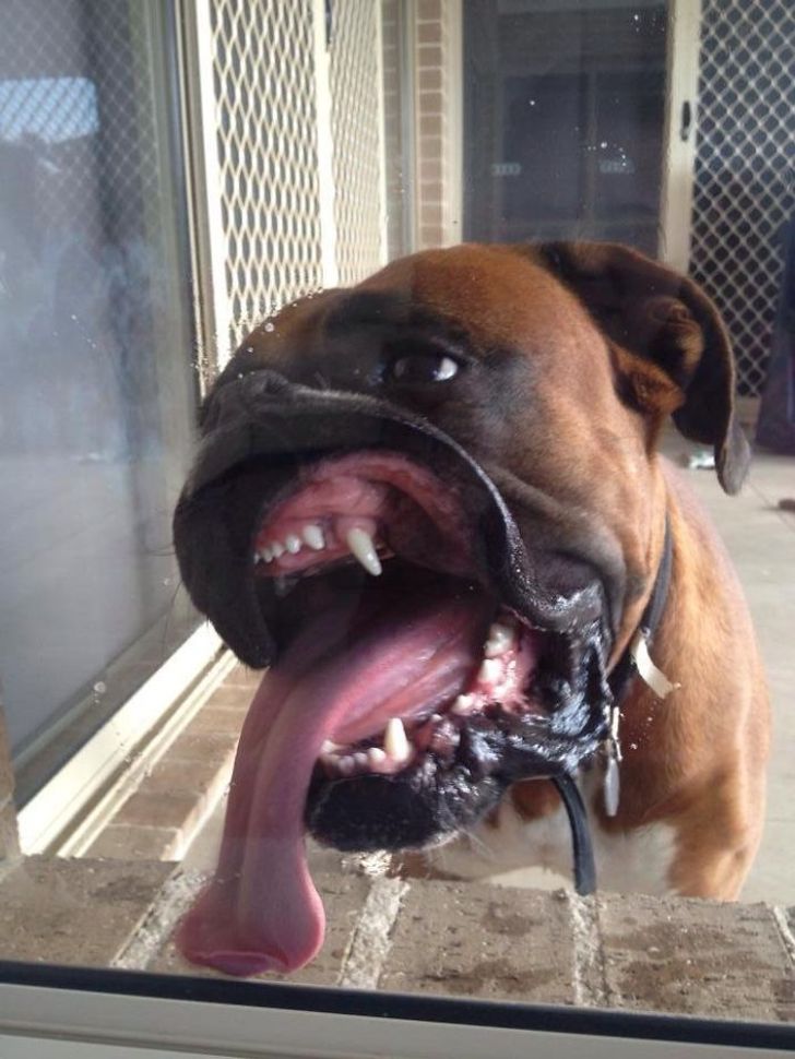 3083c3579ba719f8179fb8902e