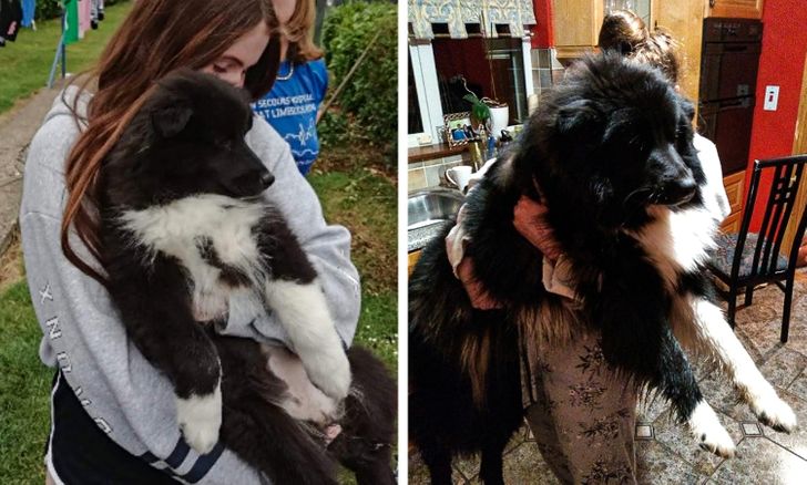 3084a85d1e89224eb6f3f247a5