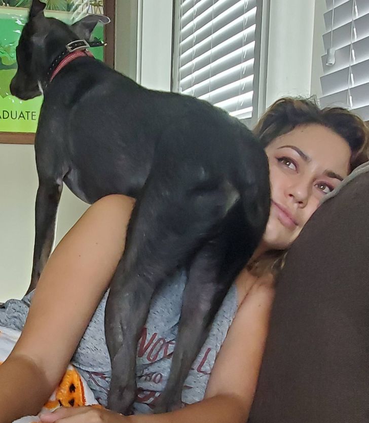 3084ac5eaea348bd36b61c0931