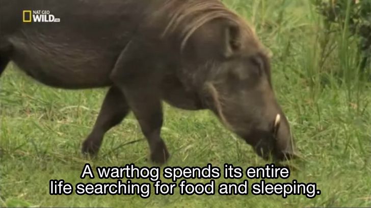 308fc551f687d838c01c0ad1b3