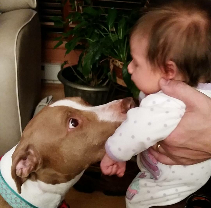 30936e5124a921bf619ee6943c