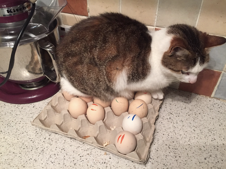 309b7456d9a43929535de0fcdc