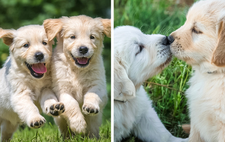 309bb85deaadf6233936c9f9f8