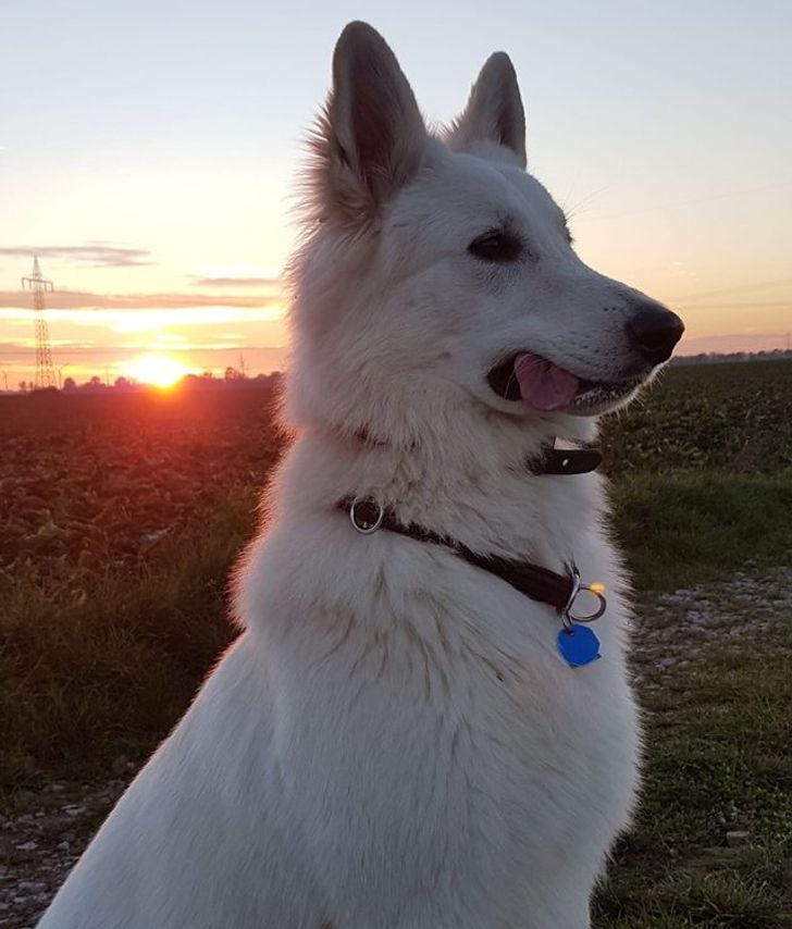 309c5d5998a5f9993927664200