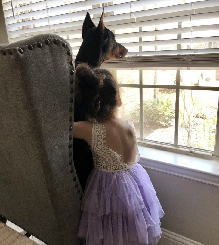 309cae501ba443a37ec04225c7