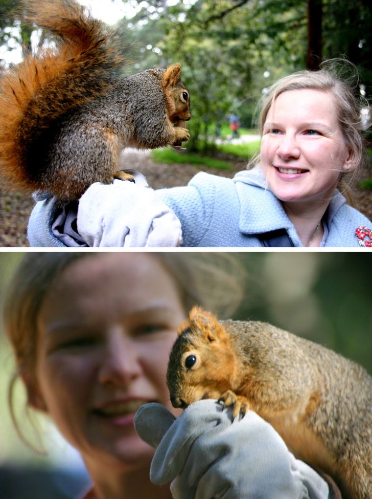 30a1cd59c4bb56ff2fffe74aae