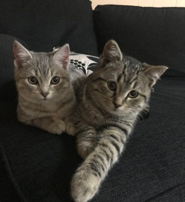 30b98254e1a53e73432bb0fa00