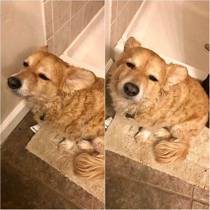 30baed55e88c2fa06960864886