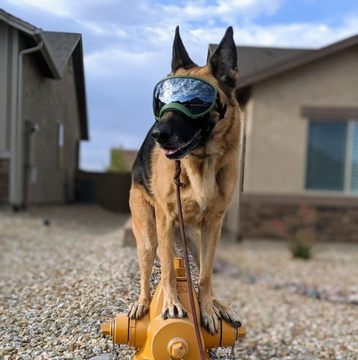 30bbbd590d8f6f4d64c149ad5f