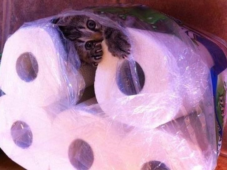 30bcc35415bab50a067396221a