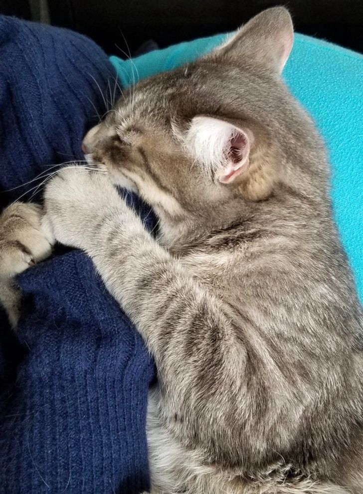 30c89d52799e76a47fd9e93058