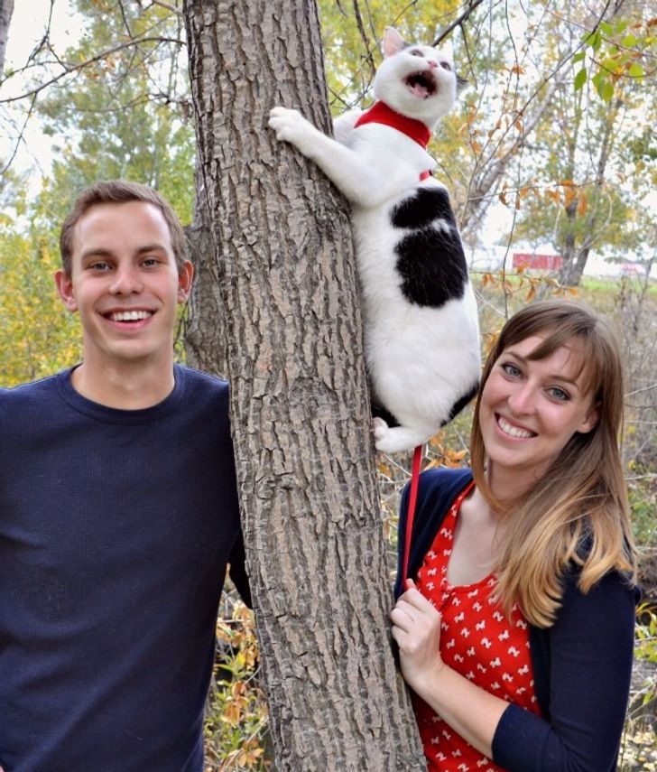 30cee45a5ea97a8845b777db93