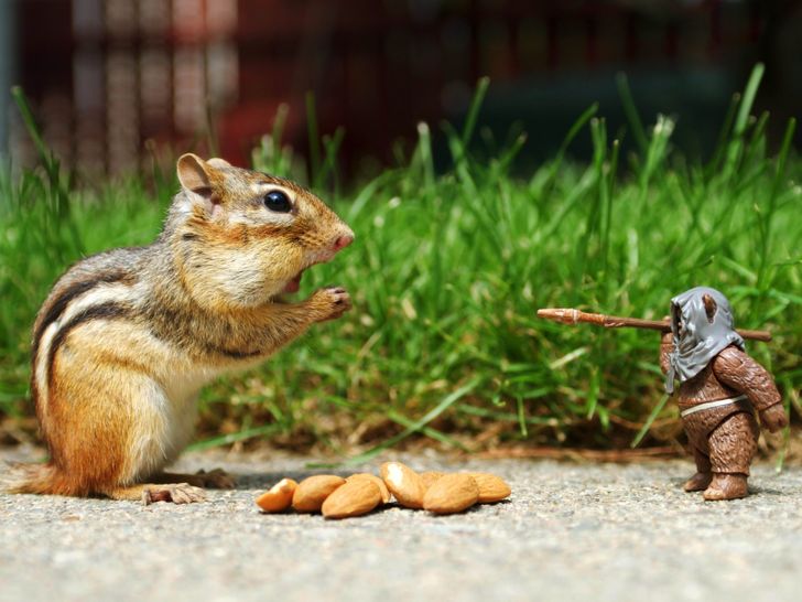 30d8d5540ea1a53a596db54183