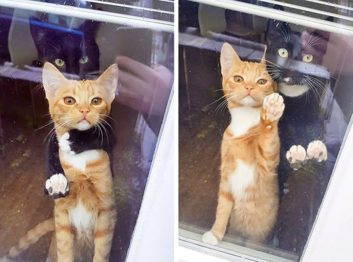 30daba500d925a274a9f33c709