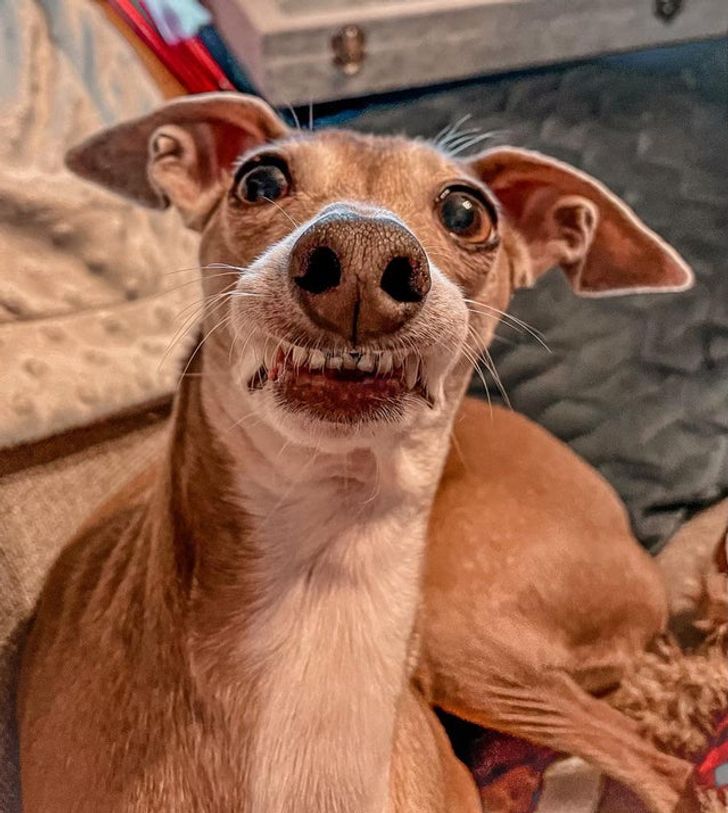 30df1354a19dfa7493d39132a9