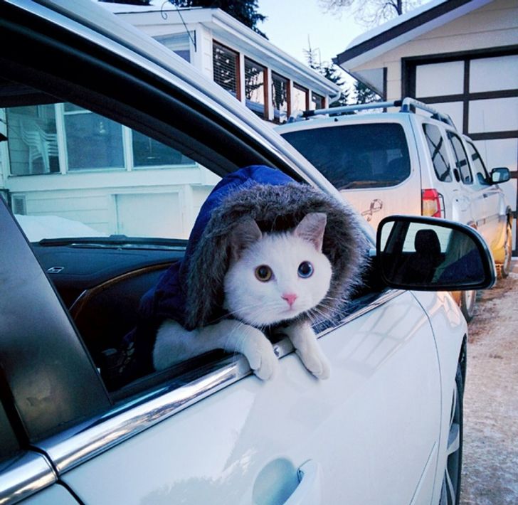 30e73856c1a8243da7ea291151