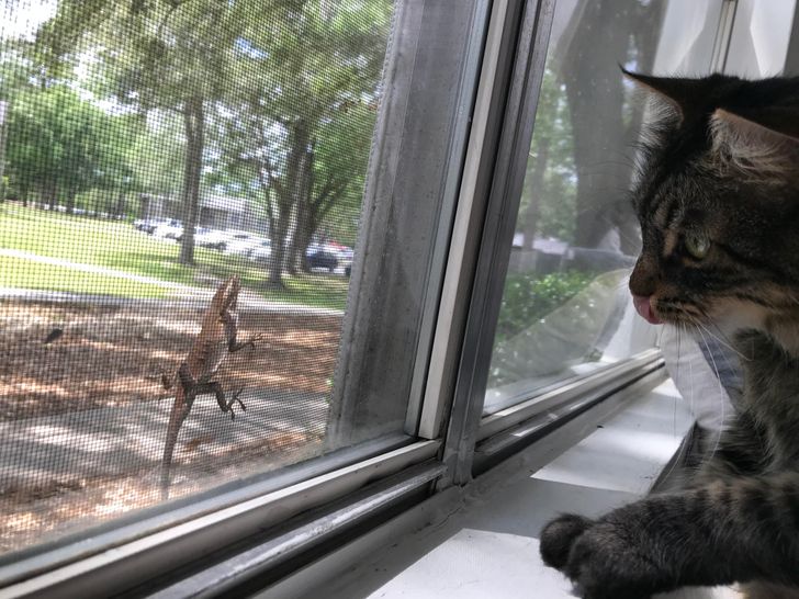 30eda95ebfb18023f38f75d86a