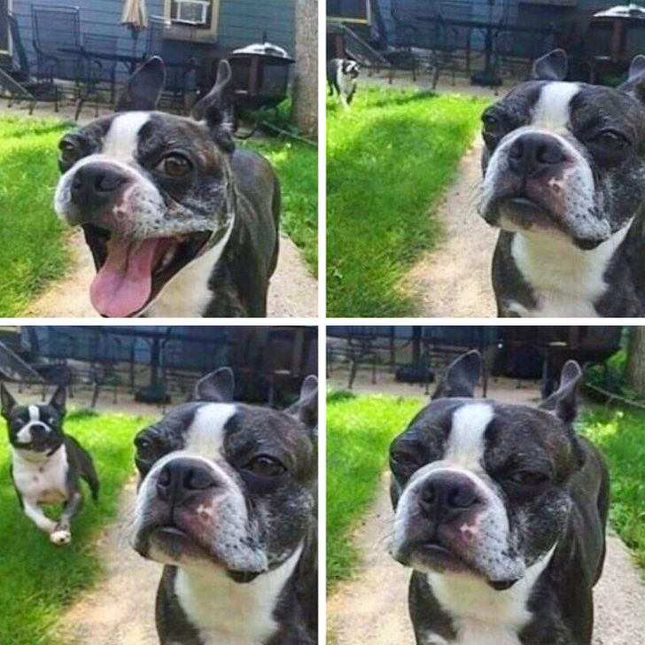 30f38a5d388d7bc7f7193eefba