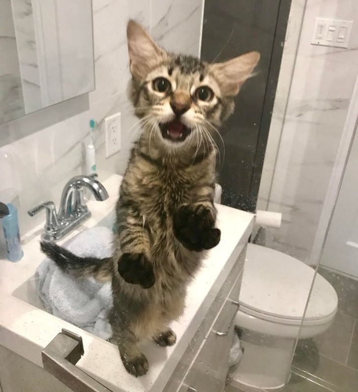 30f4c6506c9be5ea2baa9241fd