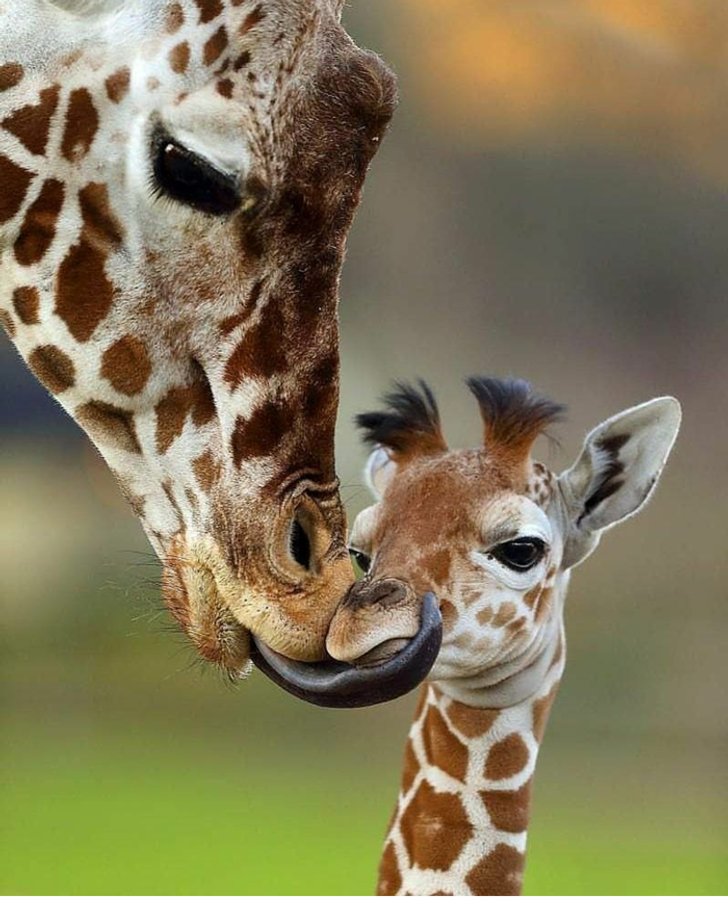 30f7635e1981e936f94f2d9c5f