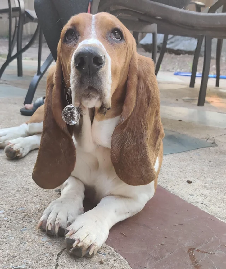 30fed25f1ebb779d9d7ec2c8ad