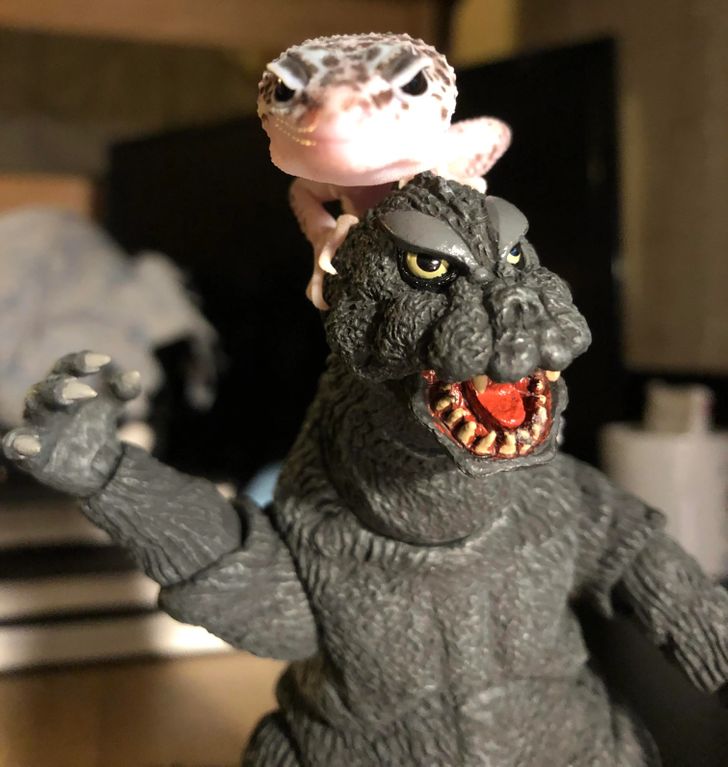 31032251cf9815086d05c3fa42