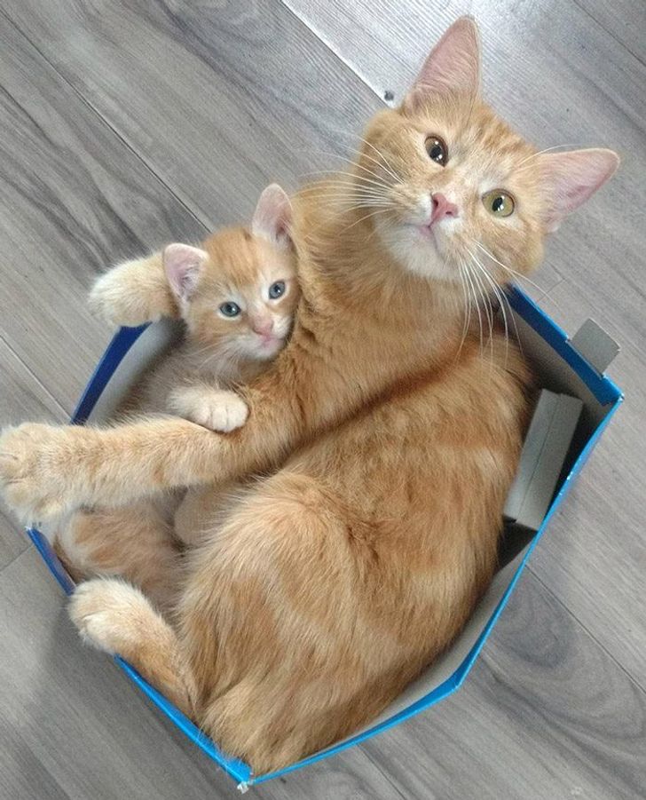 310a875869a2df19eb067fad23