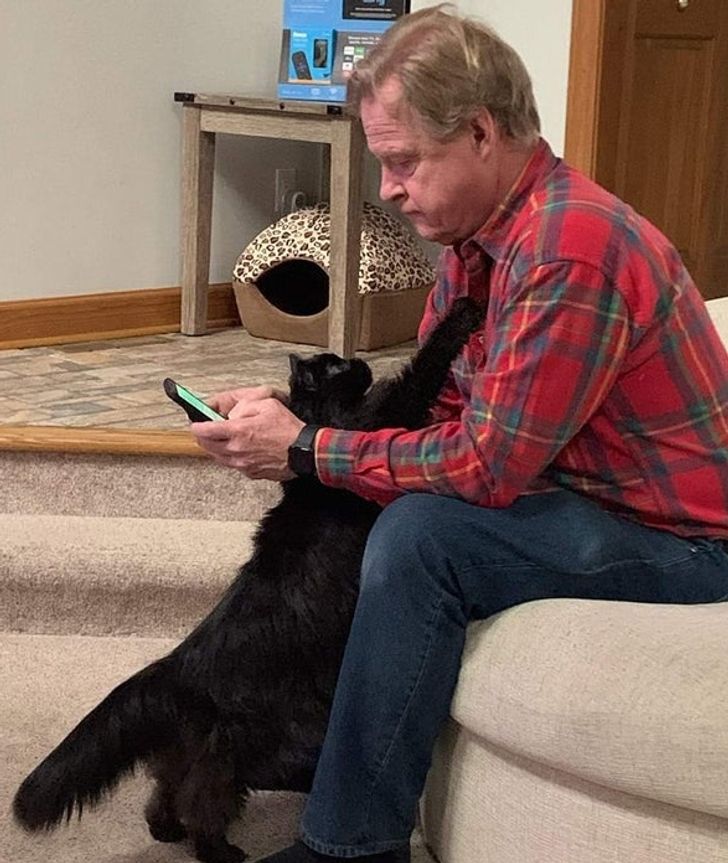 310ddf5fb7bf9ae68b95faf511