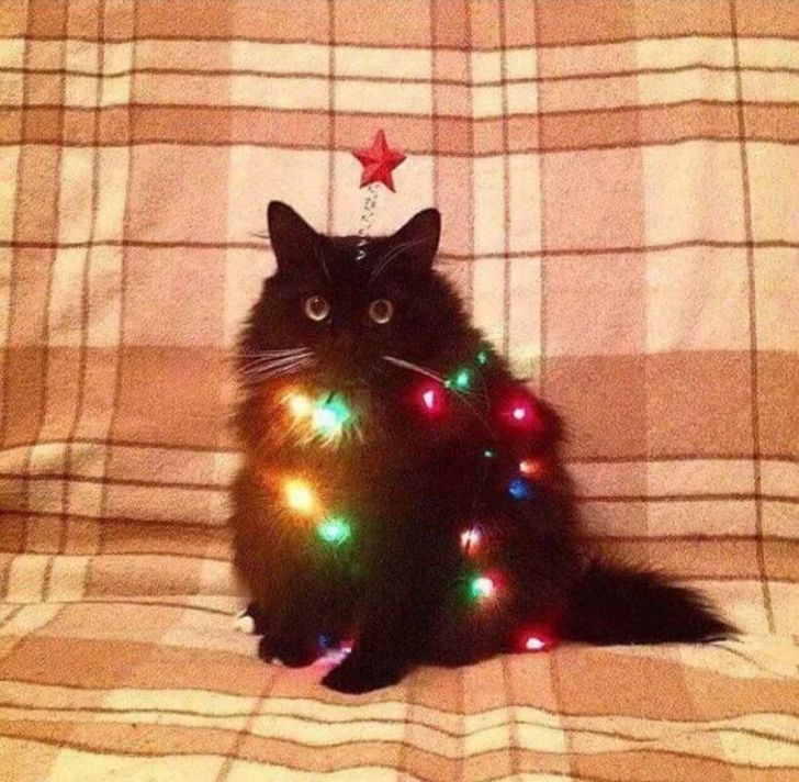 310e1b5e4c9639fb2c157a2422