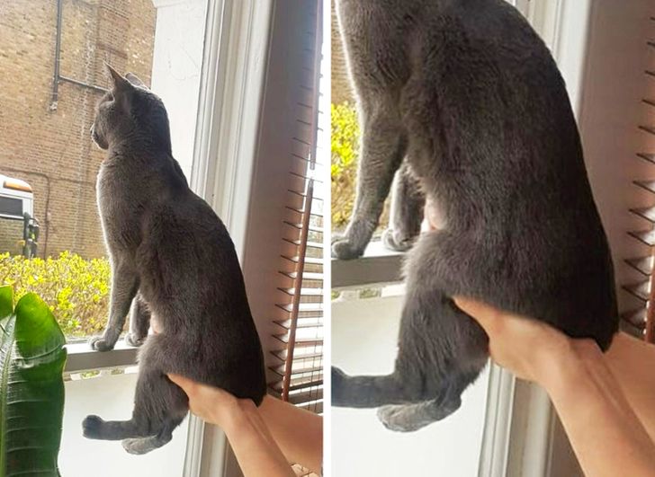 3117dd581b9c6b5b66c02e9d07