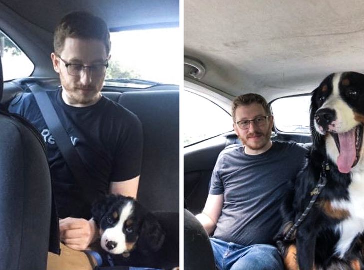 311d5957bcbcfe2f4840ace291