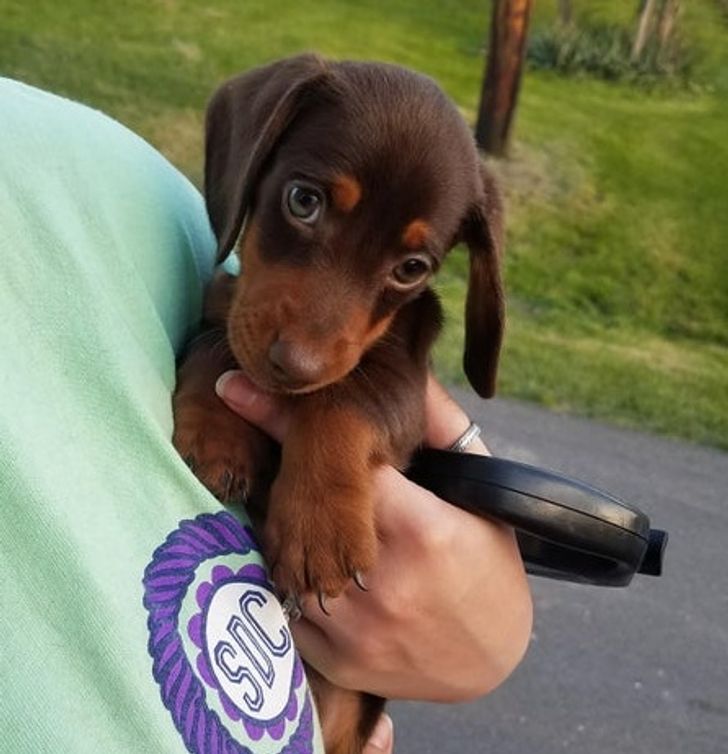 31223f53b1951cf593a143923c