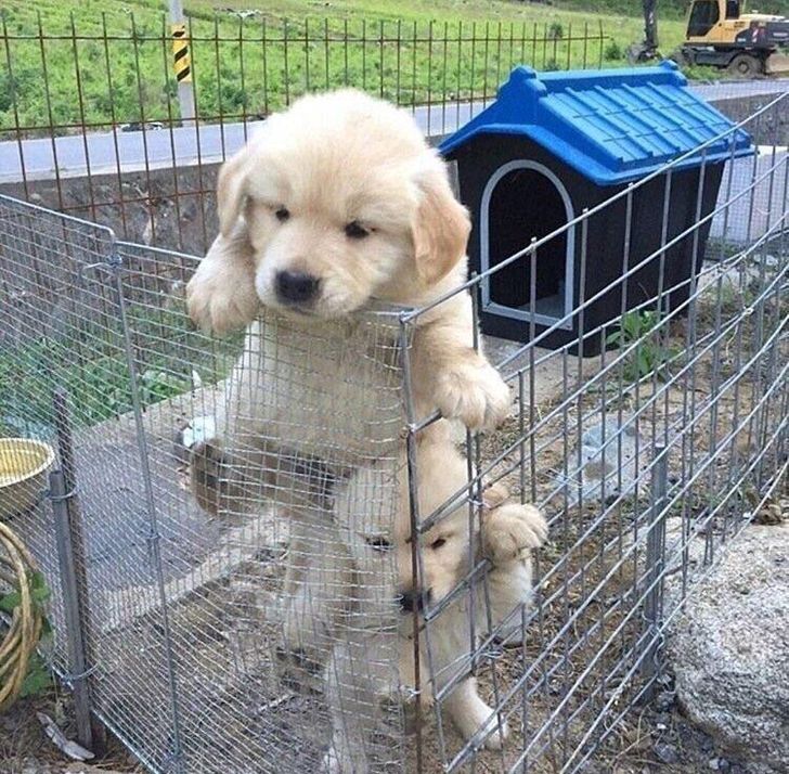 31230f5f599526952abd2a8f25