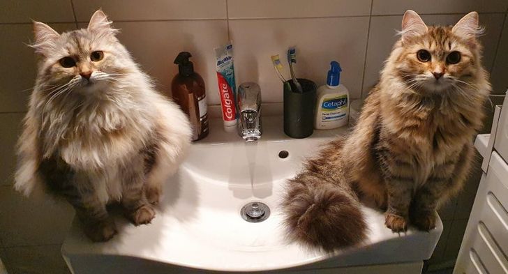 31233e5536b228d39d01fb2fa9