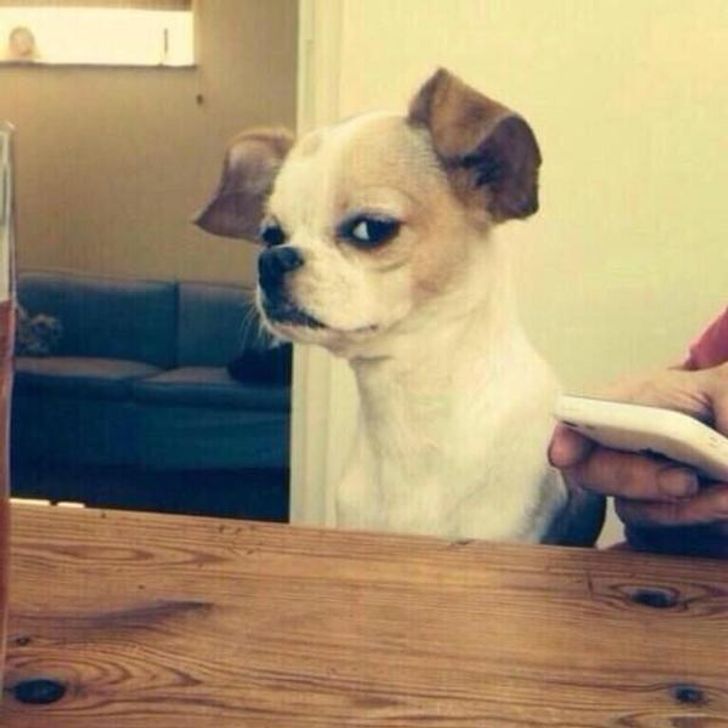 31244058a2803e068b1acd07f9