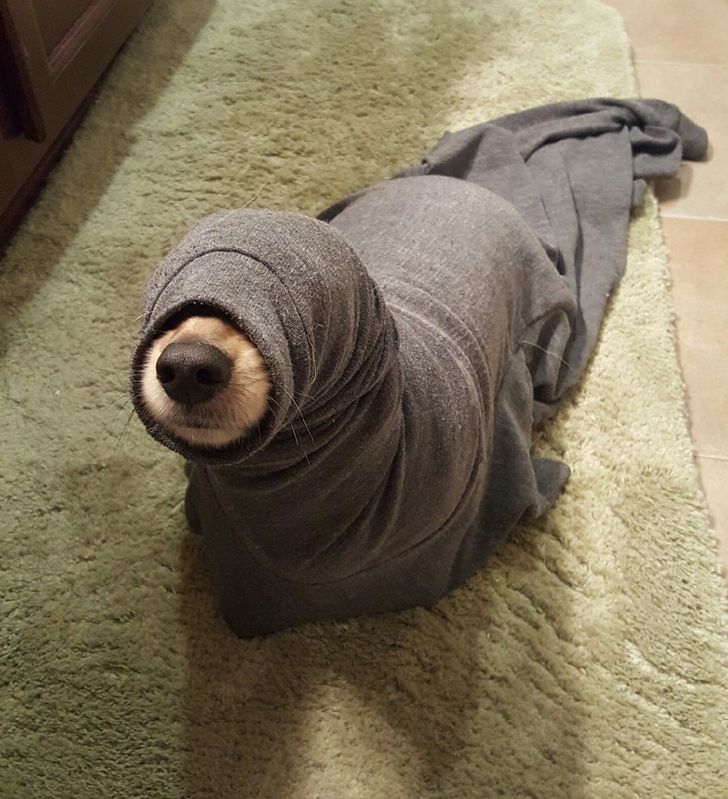 3126b15f32af55b5dfabcde303 3126b15f32af55b5dfabcde303