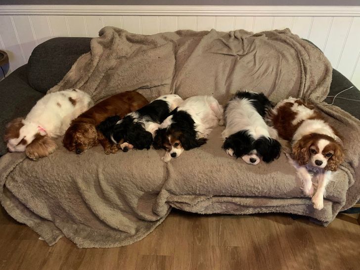 3128cb57e18a5b8fdf829d3aa9