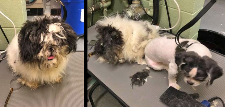 3129cc5931915b7e69ddf883c4