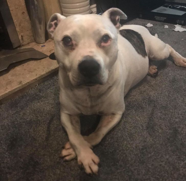 3129cc597892f9618b7dd082f2