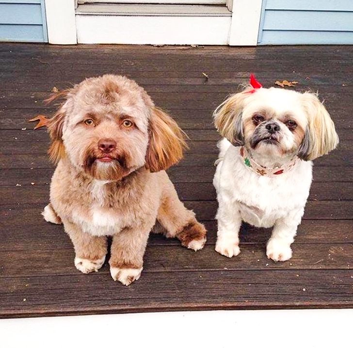 31476c5c0392ed1e481088bddd