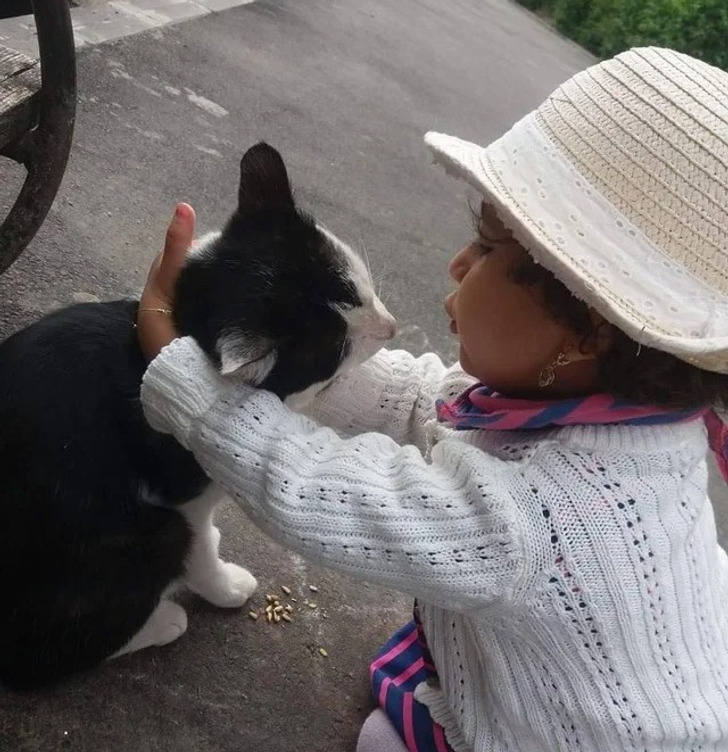 31485751e4b5bccc48719c2e5d